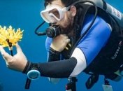 "Напечатанные" кораллы из биопластика спасут жизнь рыбам и морским организмам