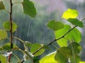 Прогноз погоды в Украине 11 июля: местами ожидаются дожди с грозами 