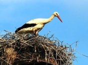 7 апреля. Приметы дня