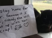 Зірки запустили флешмоб #IStayHomeF в Instagram