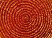 Геологи: что стало причиной масштабного голодного бедствия