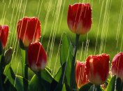 Весна, апрель