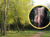 Лиса гора у Києві