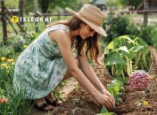 Когда сеять фасоль - полезные советы