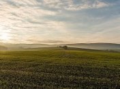 В ОПЗЖ требуют референдума по рынку земли 