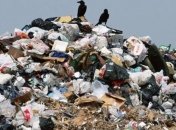 Во Львове нашли гигантскую несанкционированную свалку мусора (Видео)