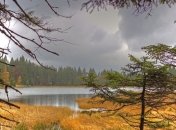 Прогноз погоды в Украине на 15 ноября: переменная облачность 