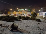 Кинуті ялинки в Дніпрі