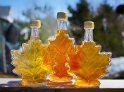 Кленовый сироп: вкусно и полезно