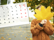 Сколько выходных и праздников будет у нас в октябре