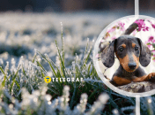 Второй месяц весны не баловал украинцев