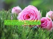 Именины (День Ангела) Тараса: значение имени и поздравления