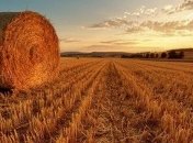 Аномальный август: в Украину возвращается жара