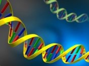 Последовательность ДНК определили с помощью нанопор