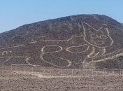 Рисовали котиков до того, как это стало мейнстримом: древний геоглиф в Перу засняли с дрона (Видео)