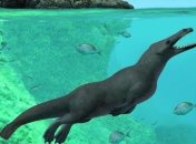 Ученые раскрыли период миграции четвероногих китов в Америку