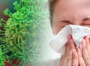 У Баварії на фермі 174 сезонних робітників захворіли на COVID-19