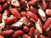 Врачи назвали пять веских причин полюбить фасоль