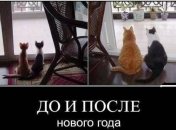 Новогодние приколы в картинках, мемах, фотожабах для отличного настроения