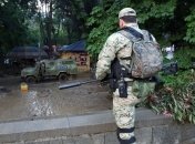 В Тбилиси ищут сбежавшего из зоопарка тигра