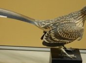 Отсутствие зубов у птиц стало эволюционным преимуществом перед динозаврами