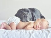 ВИДЕОпозитив: первое знакомство малышки с собакой