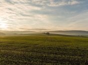 Рынок земли: в Минэкономики объяснили отсрочку реформы