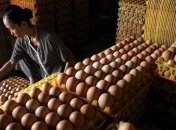 Витамин В12 незаменим для памяти