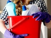 Деякі миючі засоби можна замінити підручними матеріалами