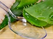 Сок этого растения помогает от воспаления глаз