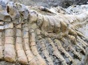 Шокирующая находка: археологи не поверили своим глазам (Фото)