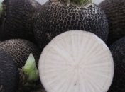 Черная редька повышает обмен веществ