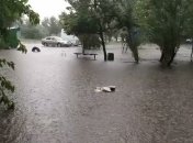 "Людей было много, но никто не знал, что делать", – очевидица о трагедии с погибшими от удара тока в Бердянске (видео)