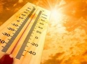 Ученые: К концу века температура в крупных городах вырастет на 8 градусов