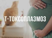 TORCH-инфекции во время беременности