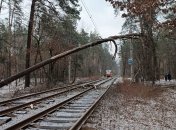 Трамваи к Пуще-Водице стоят