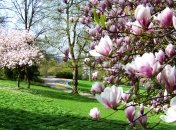 Прогноз погоды на ближайшие дни