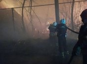 Пожары на Луганщине: последние данные о жертвах и видео последствий