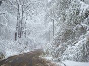 ГСЧС предоставила отчет о ситуации в охваченных непогодой регионах Украины