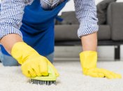 Эти средства для очистки ковра есть дома у всех