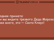 Создаем праздничное настроение: подборка новогодних анекдотов на вечер