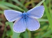 Приметы и обряды на 11 июля - Канун Перова дня