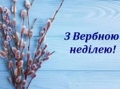З Вербною неділею 2022 року! Святкові листівки та відеовітання