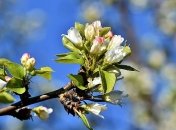 Северный ветер, дождь и заморозки: какой будет погода в ближайшие дни