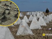 Будівництво фортифікацій