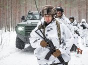 Украинские воины