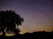 В ночь на 9 декабря можно будет наблюдать звездопад