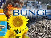 Завод "Олейна" в Днепре