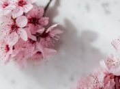 Какой праздник 25 марта: народные приметы и запреты 