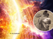 Солнце и осел из "Шрека"